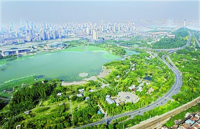 月湖公园